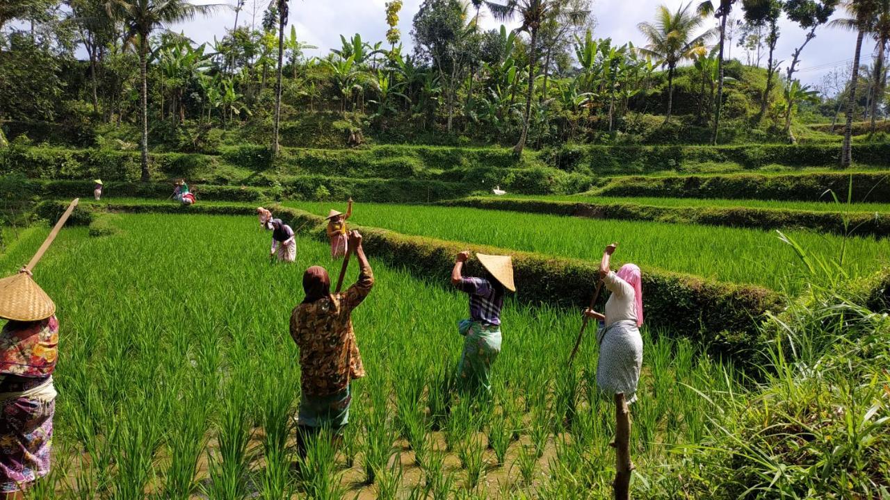 شقة Bale Kembang Kuning تيتيباتو المظهر الخارجي الصورة