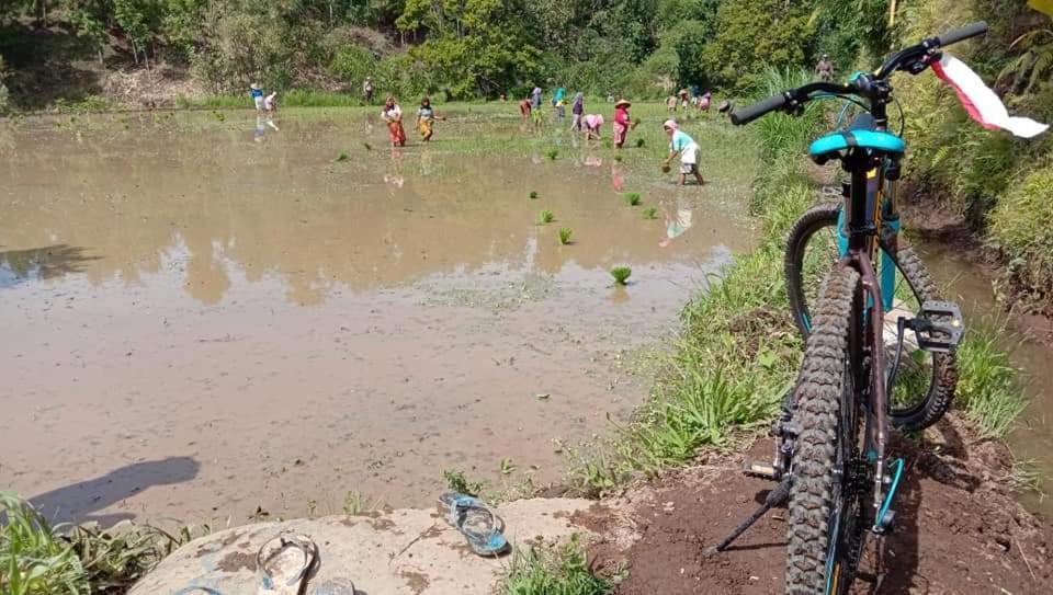 شقة Bale Kembang Kuning تيتيباتو المظهر الخارجي الصورة